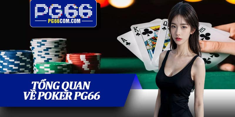 Tổng quan về Poker PG66 dành cho người chơi mới